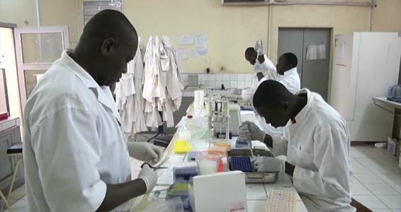 Le prix HIDEYO NOGUCHI pour l'afrique