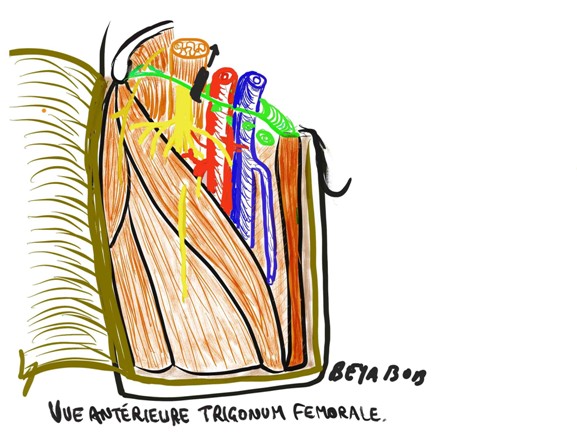 LE PROFESSEUR ROBERT BEYA EN SEMINAIRE D'ANATOMIE