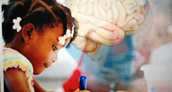 Congrès International de l'Association pour la Promotion des neurosciences