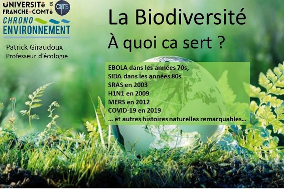Conférence du Professeur Patrick Giraudoux