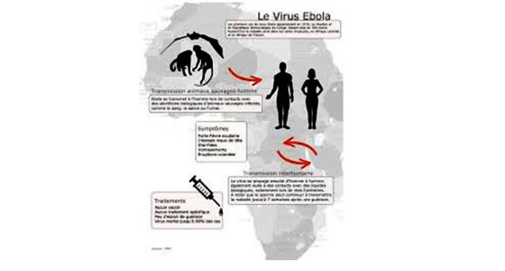 Les Annales africaines de Médecine (AAM) annoncent avec joie la mise en ligne du volume 11 n°3 juin 2018