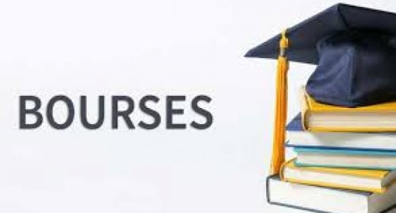 Appel à candidatures 2019-2020 : BOURSES DE MASTER ET DE STAGE EN BELGIQUE