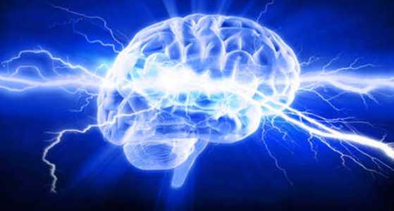 TERMES DE LA JOURNEE SCIENTIFICO CULTURELLE DU 23/02/2019