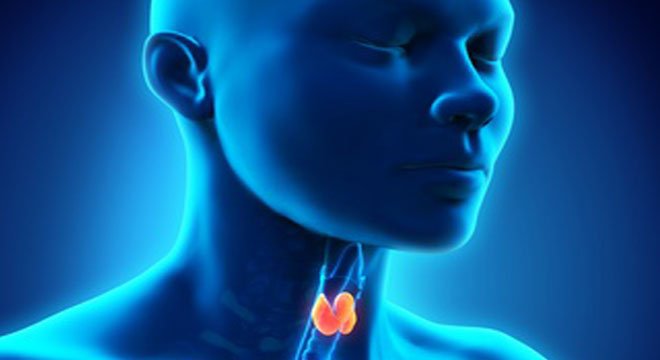 Consultations gratuites pour les maladies de tube digestif et de la Thyroïde