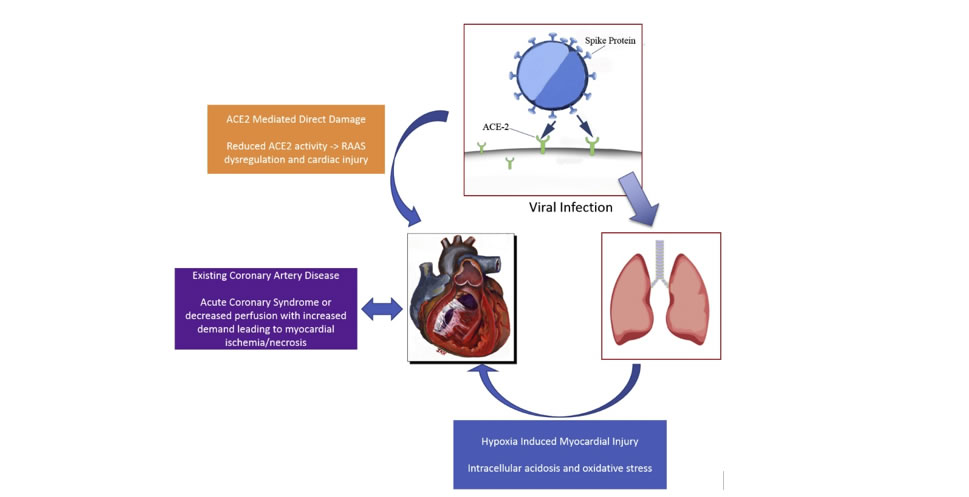 Le volume 15 n°2, mars 2022 des Annales Africaines de Médecine est désormais disponible