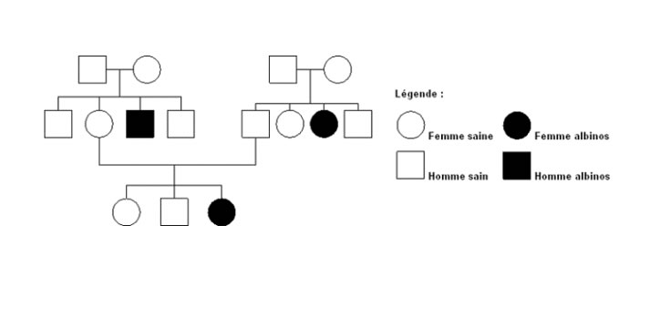 Le volume 15 n° 4, septembre 2022 des Annales Africaines de Médecine est désormais disponible