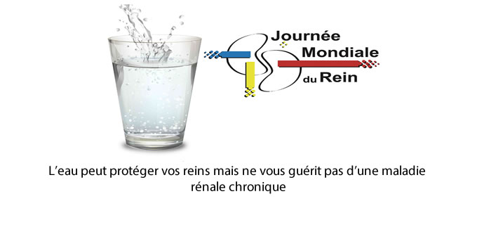 Journée Mondiale des reins