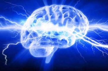 TERMES DE LA JOURNEE SCIENTIFICO CULTURELLE DU 23/02/2019