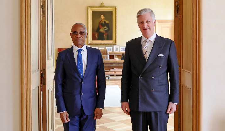 Le Roi Belge reçoit en audience le recteur de l’Université de Kinshasa le Professeur Jean-Marie Kayembe Ntumba