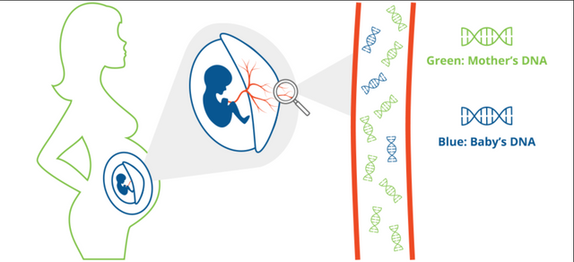 Conférence unique sur les tests prénataux non invasifs