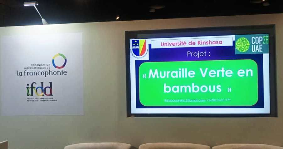 Brillante présentation à la COP 28 du Projet de l'UNIKIN sur la Muraille Verte en Bambous