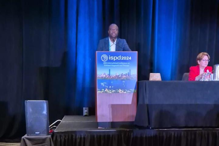 28th International meeting of the ISPD, BOSTON, MA, USA