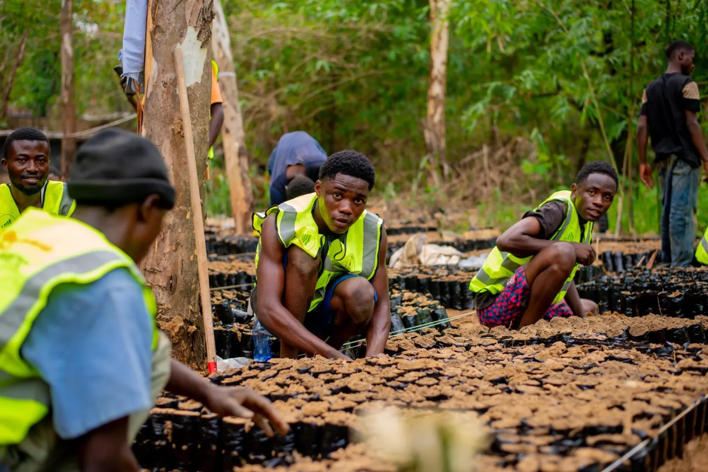 Lutte antiérosive : partenariat UNIKIN-WIETC au secours de Kisenso avec les bambous et vétivers