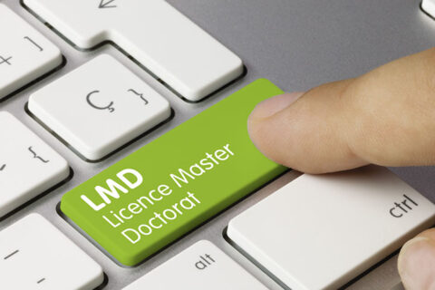 LMD Licence Master Doctorat