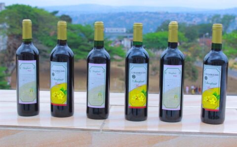 vin rouge fac science unikin 2