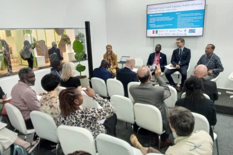 cop27-invertenvention