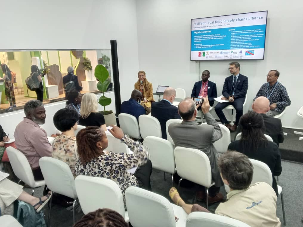Intervention du Professeur Apollinaire Biloso à la COP-27
