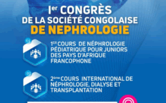 congrès socpneph_refait THEOPHILE