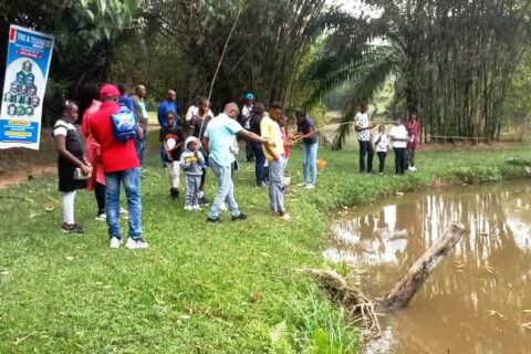 pisciculture 1