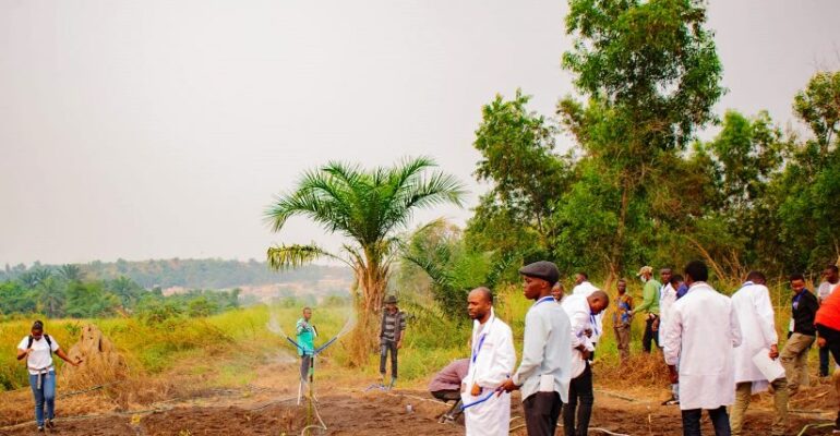 developpement agriculture durable