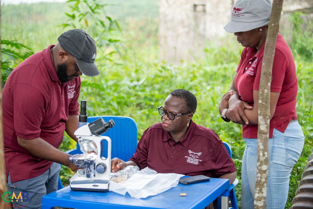 La Secrétaire Générale à la Recherche, Professeure Marie-Claire Yandju a reçu une délégation de spécialistes en production végétale