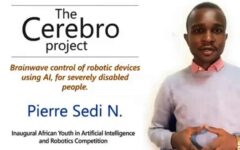 Ir Pierre SEDI