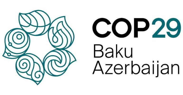 COP29