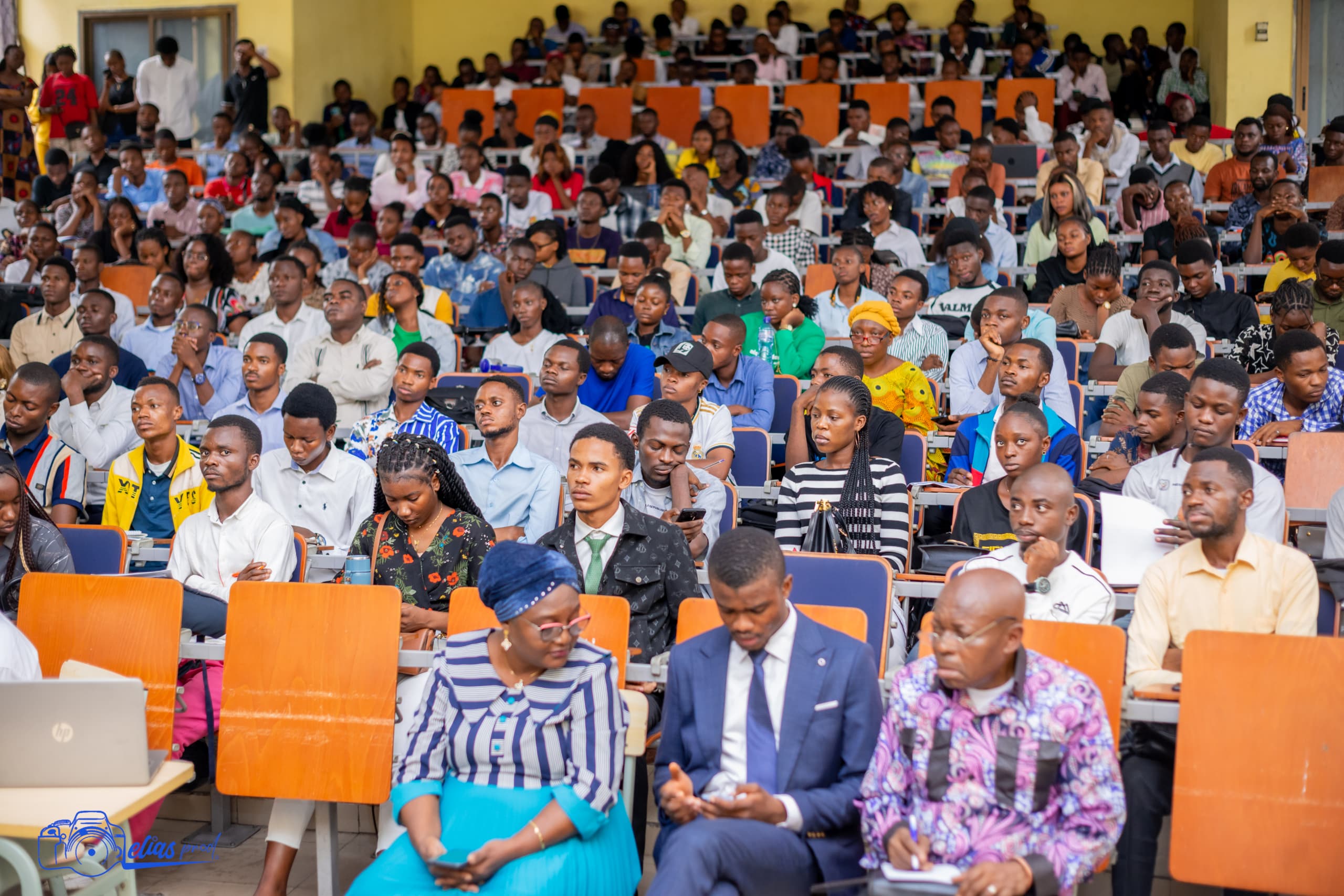 Célébration de la journée mondiale de la lutte contre la désertification et la sécheresse : la création des zones spéciales de bois d’énergie recommandée