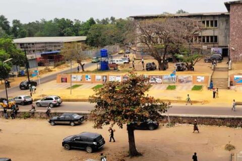 unikin