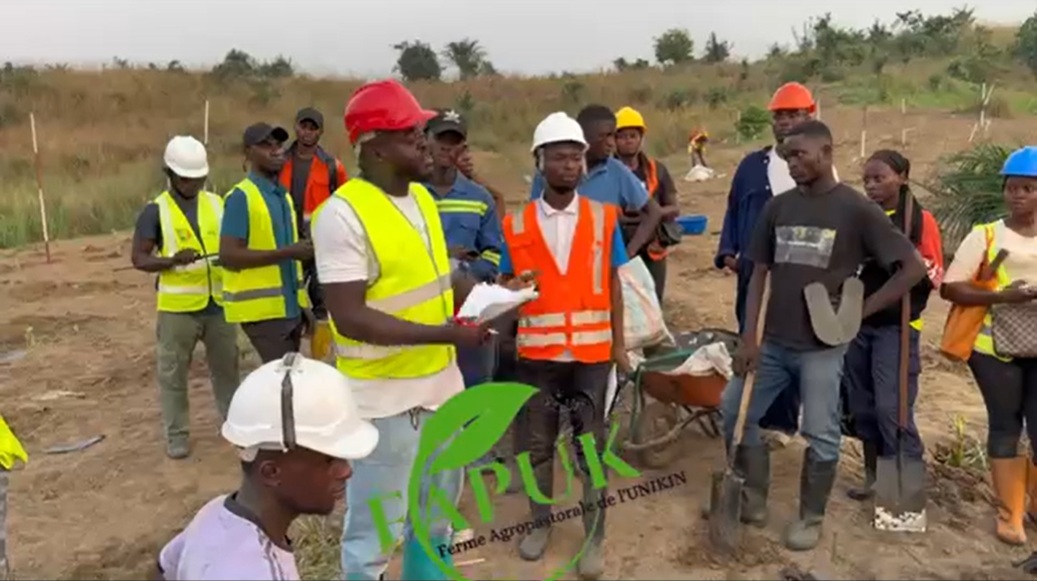Les étudiants en agronomie transplantent des variétés de bananiers à la ferme école de la FAPUK