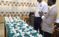 WhatsApp Image 2025-12-22 at 17.43.59